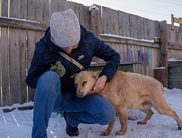 Волонтеры «Милосердия» передали подарки приюту животных в Алтайском крае 